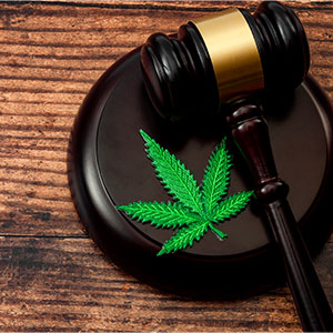 Judge's gavel with marijuana leaf - The Law Offices Of Robert R. Simons